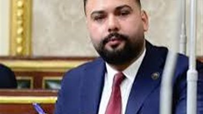 برلماني: مصر غيرت الرأي العام الدولي تجاه القضية الفلسطينية وأوضحت صورتها الحقيقية