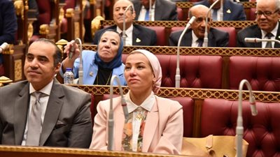 برلماني يطلب مناقشة خطط وزارة البيئة بشأن بالتكيف مع التغيرات المناخية