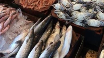 أسعار الأسماك اليوم الجمعة في الأسواق