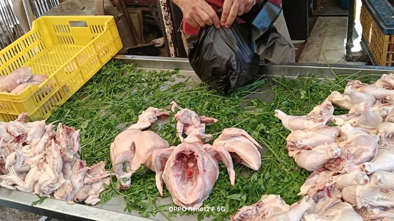 حملة تموينية بكفر