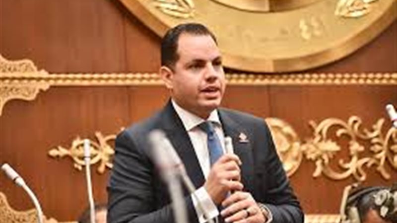 أحمد فوزي عضو مجلس