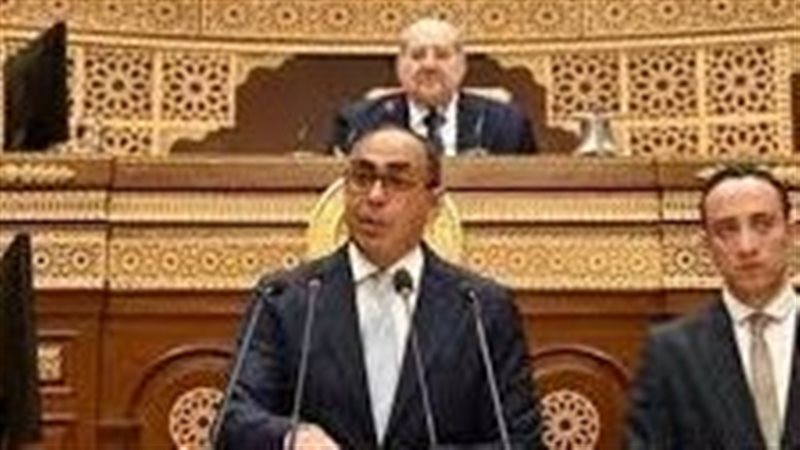 النائب هاني سري الدين