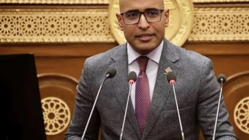 النائب علاء مصطفى