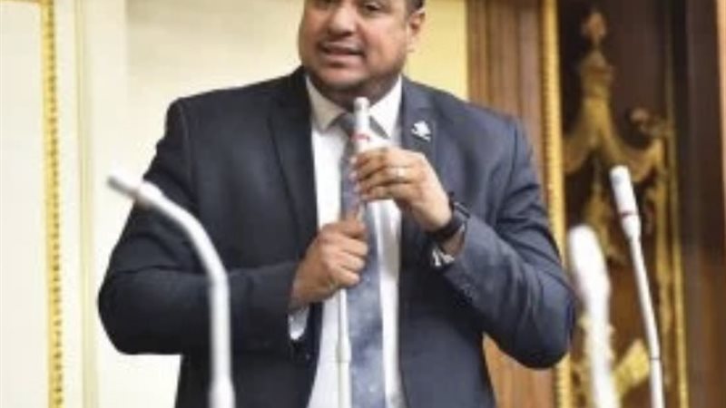 النائب محمد إسماعيل