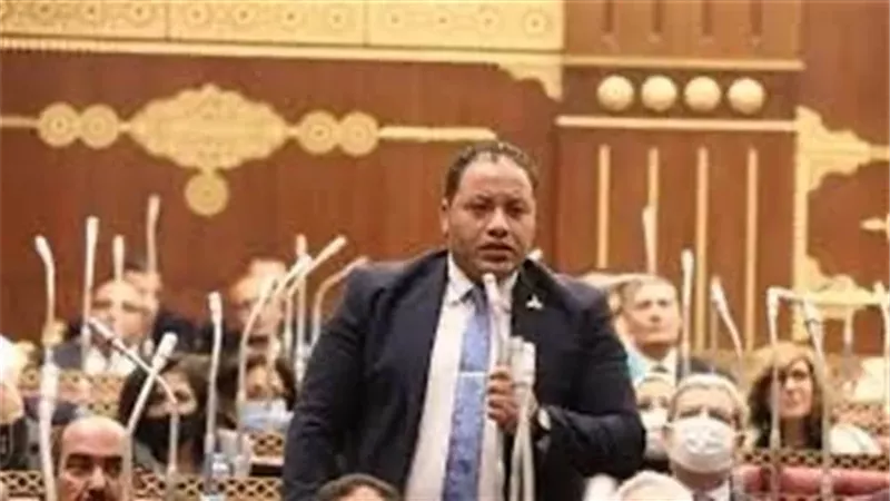 النائب مصطفى سالمان