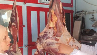 تحرير 9 محاضر.. ضبط 76 كيلو لحوم وأسماك غير صالحة بكفر الشيخ 