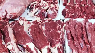 مع اقتراب عيد الأضحى .. أسعار اللحوم اليوم الثلاثاء 3-6-2025