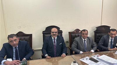 القاضي أحمد فتحي عبد العال يقضي بحبس شخص 15عامًا لخطفه طفلة