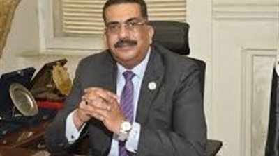  النائب هشام سويلم: استراتيجية الدولة المصرية تهدف لتحقيق الاستقرار في المنطقة