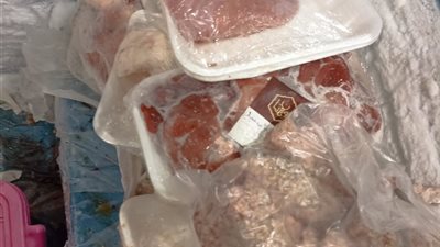 صحة كفر الشيخ: إعدام 110 كجم أغذية غير صالحة