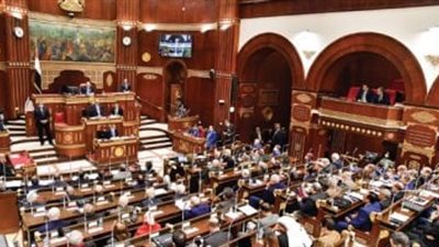 صناعة الدواء في صدارة خطة التنمية.. ومبيعات مستهدفة بـ4.4 مليار دولار بحلول 2028