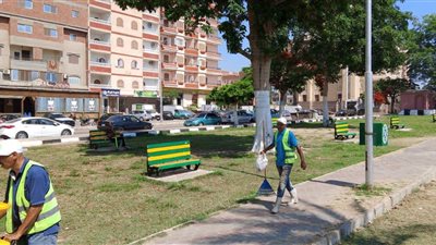 حي ثانٍ الإسماعيلية يواصل حملات النظافة والإنارة خلال عيد الأضحى