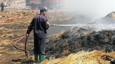 حريق ضخم يلتهم شونة كتان بقرية شبرا اليمن في زفتى  (صور)