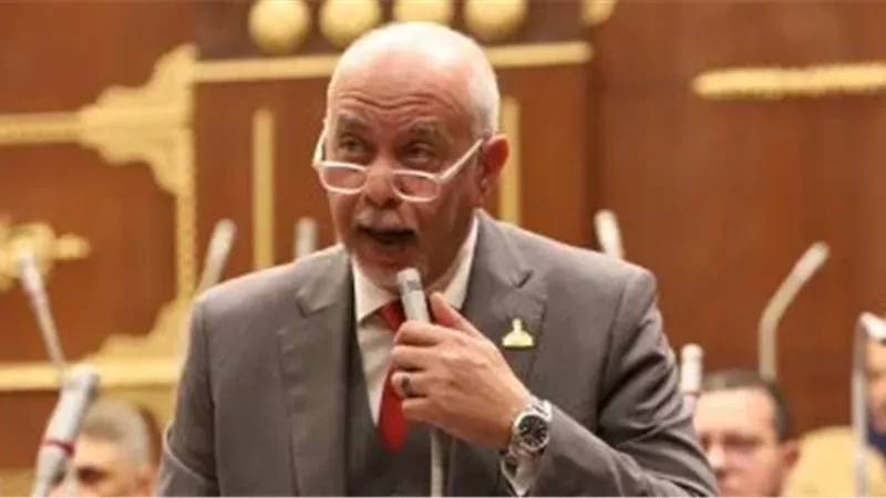 النائب حازم الجندي
