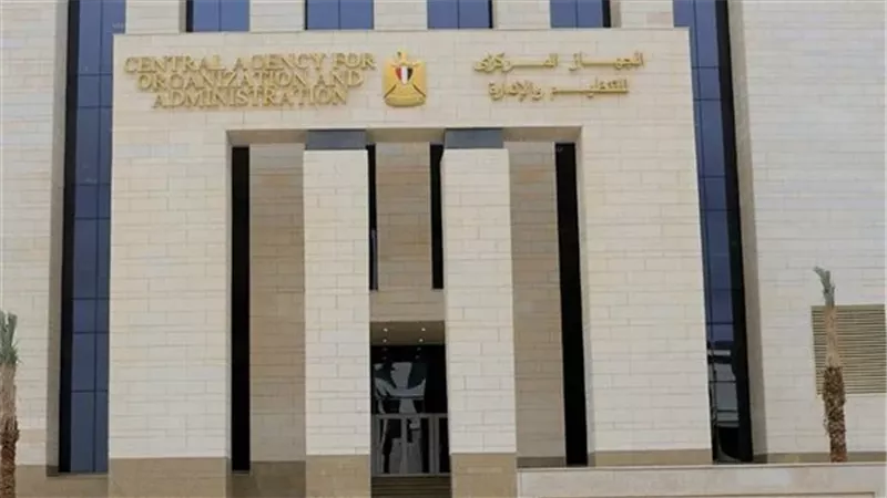 التنظيم والإدارة