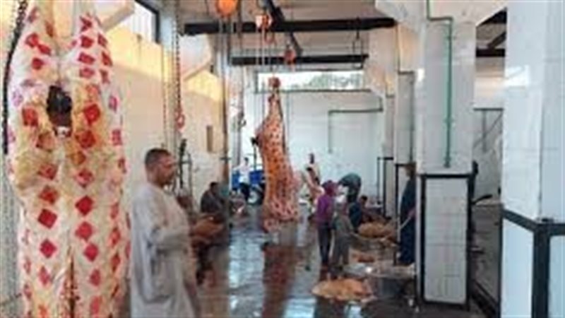المجازر البيطرية