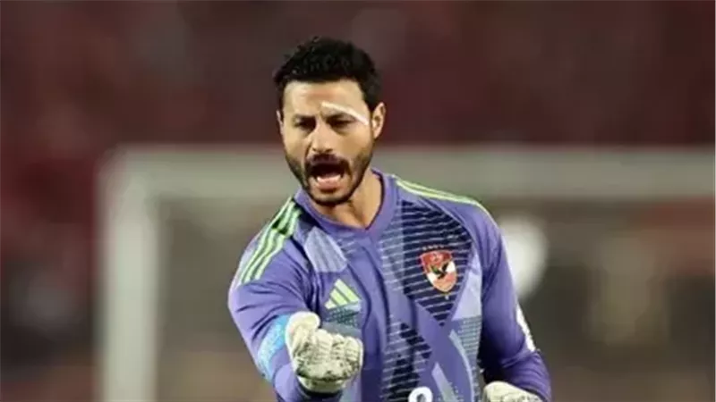 محمد الشناوي