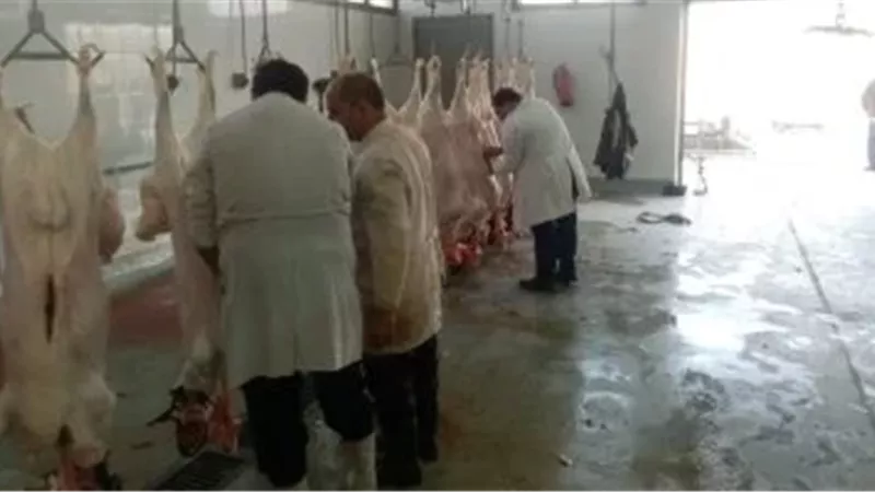 الذبح فى المجازر