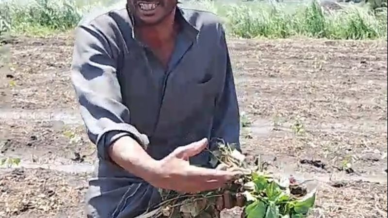 مواطن يناشد الأجهزة