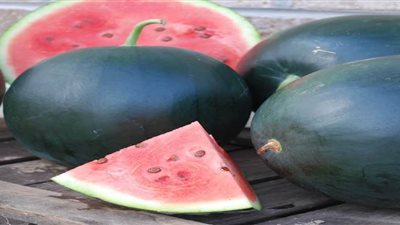 مع ارتفاع درجات الحرارة  ..  أسعار البطيخ والاناناس في الأسواق اليوم  