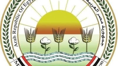 الزراعة: ذبح أكثر من 28 ألف أضحية خلال 3 أيام بالمجازر الحكومية مجانًا