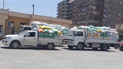 أكثر من 223 ألف طن.. كفر الشيخ تواصل صدارة موسم توريد القمح المحلي