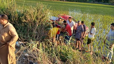 سقوط سيارة في ترعة أمام معهد ديني بقرية بلمشط بالمنوفية.. ونجاة السائق بأعجوبة