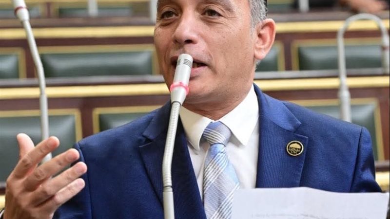 نائب رئيس الحزب المصري
