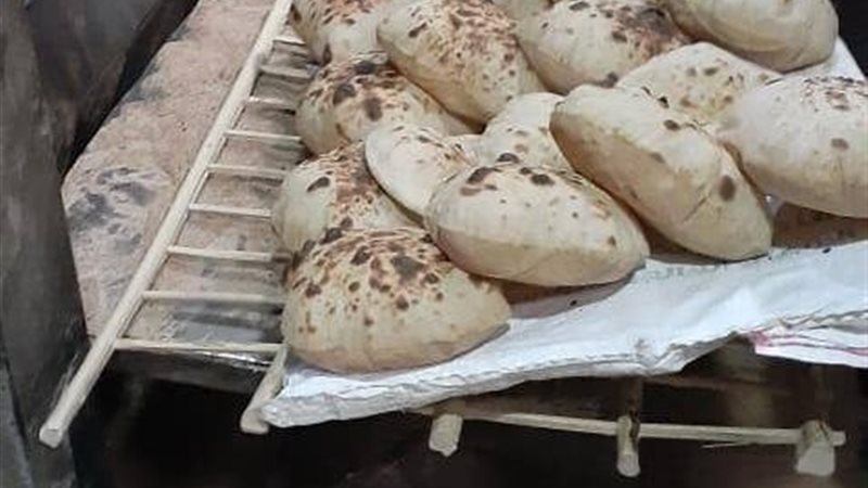 تموين أسيوط
