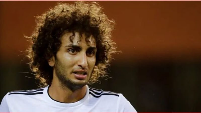 عمرو وردة