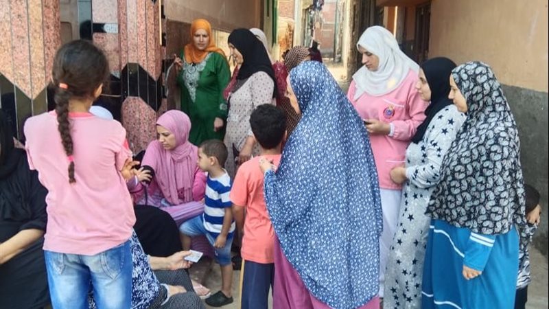 صحة كفر الشيخ: تقديم