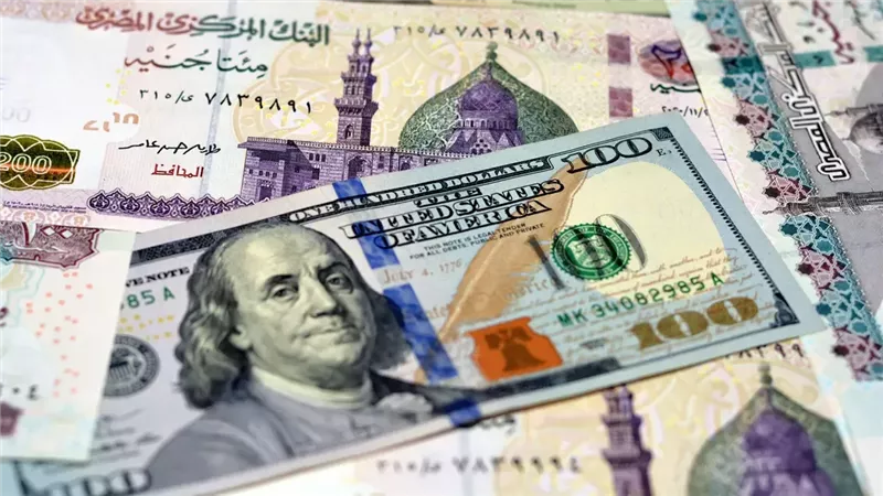 سعر الدولار في مصر