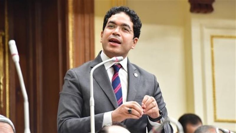 النائب ضياء الدين
