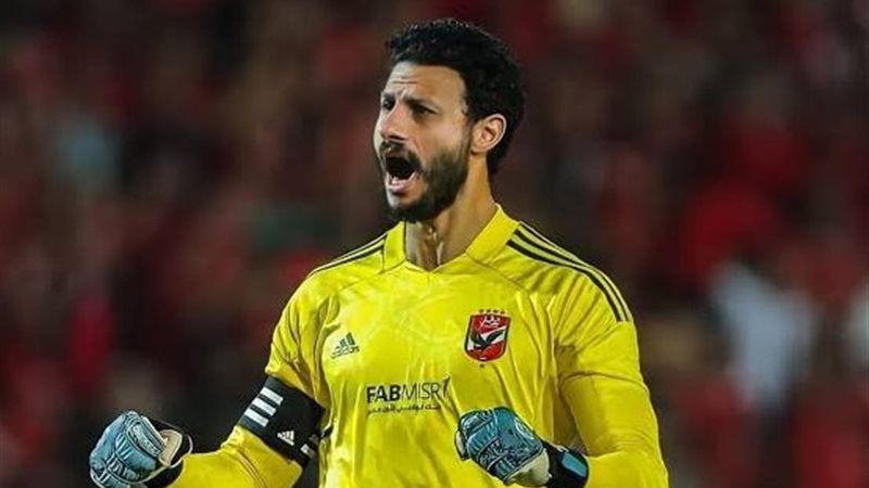 الشناوي