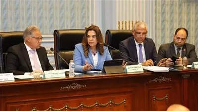 وزيرة التنمية المحلية تستعرض إنجازات تطبيق منظومة المخلفات الصلبة