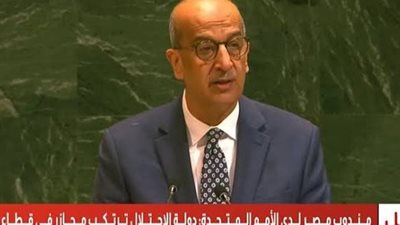 السفير أسامة عبد الخالق يوجه انتقادات حادة للفيتو الأمريكي داخل مجلس الأمن