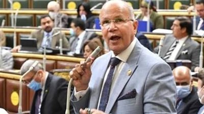 برلماني لـ«بلدنا اليوم»: وحدة الشعب المصري خلف قيادته السياسية أصبحت ضرورة 