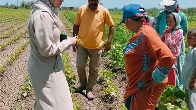 وكيل زراعة كفر الشيخ يوجه بتكثيف المرور على الزراعات ومتابعة صرف الأسمدة