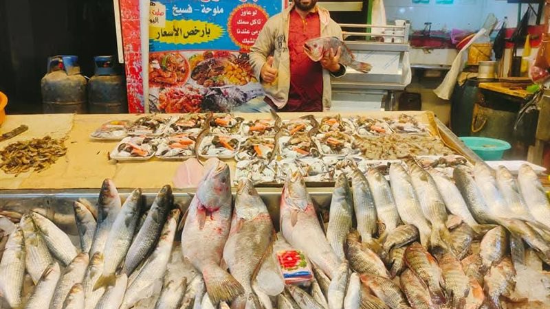 اسعار الاسماك