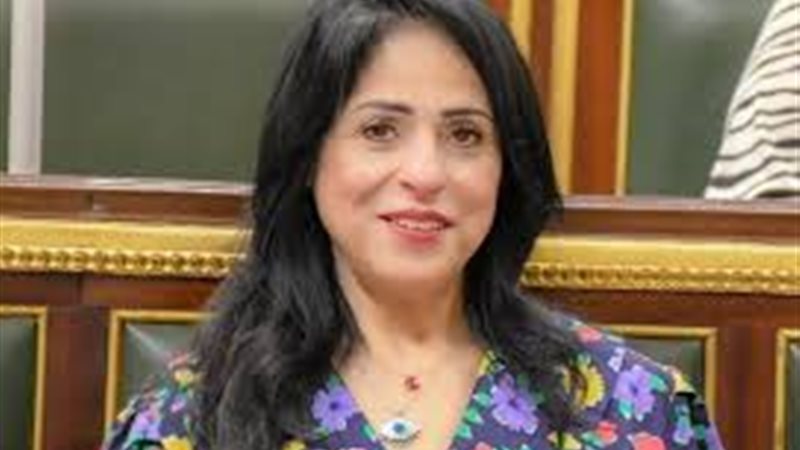 النائبة الدكتورة