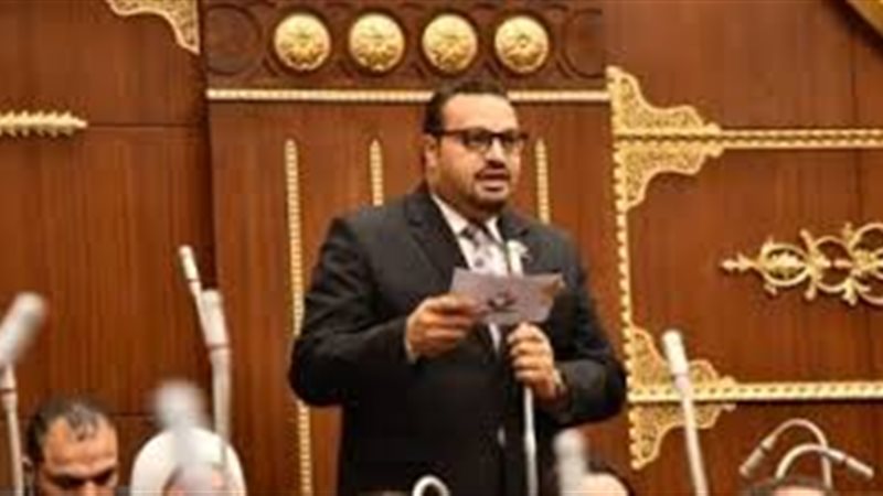 النائب أحمد القناوي