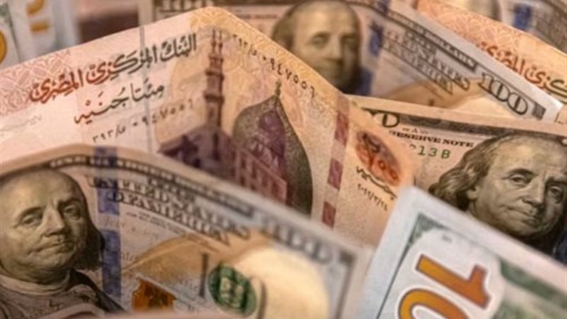 سعر الدولار