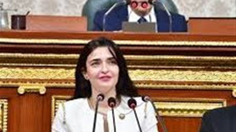 النائبة إيرين سعيد