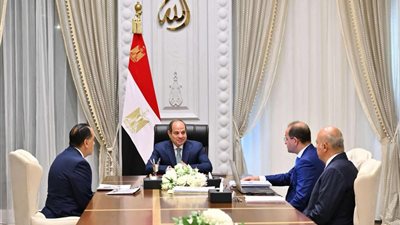 الرئيس السيسي يوجّه بالاستفادة من التجارب الدولية لترسيخ استقرار السياسات المالية