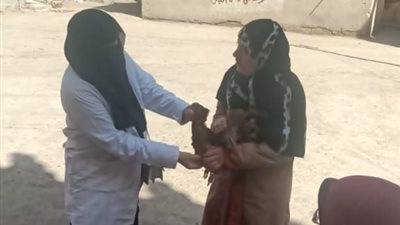 «بيطري كفر الشيخ» يحصّن 117 ألف طائر للحفاظ على الصحة الداجنة
