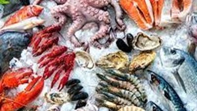 البلطي بـ82 جنيهًا.. أسعار الأسماك اليوم الإثنين 23 يونيو 2025