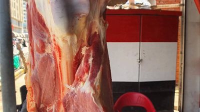 «بيطري كفر الشيخ» يحرر 8 محاضر.. ويضبط 147.5 كجم لحوم وكبدة مجهولة المصدر