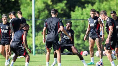 كأس العالم للأندية.. التشكيل المتوقع لـ بنفيكا أمام بايرن ميونخ 