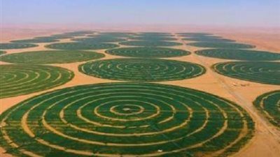 خاص| استمرار العمل بمشروعات الاستصلاح الزراعي رغم الظروف العالمية.. والزراعة تطمئن