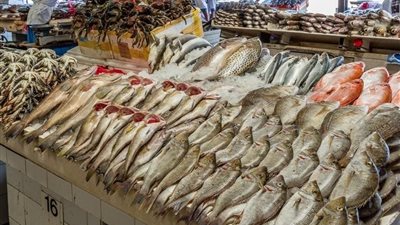 انخفاض أسعار الأسماك والجمبري اليوم الأربعاء 25 يونيو 2025.. البلطي بكام؟